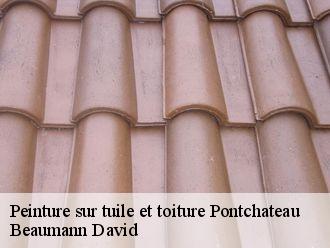 Peinture sur tuile et toiture  pontchateau-44160 Beaumann David