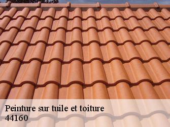 Peinture sur tuile et toiture  44160