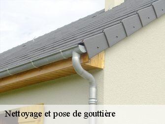 Nettoyage et pose de gouttière  44830