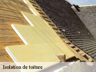 Isolation de toiture  44000