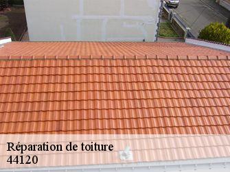 Réparation de toiture  44120